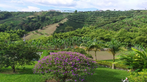 Imagen 25 de 28 de Finca De Alquiler Por Días Altagracia #2 Pereira