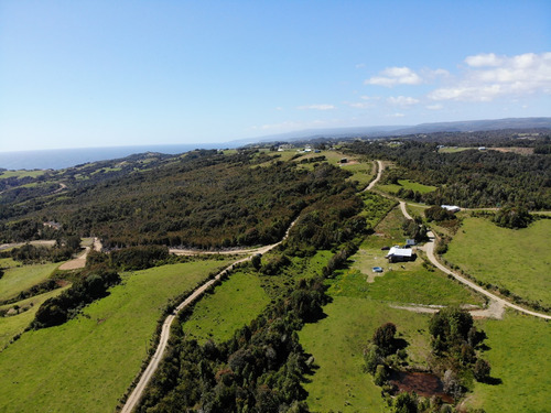 Precioso Campo De 11,5 Ha Con Vista Al Mar Y Bosque Nativo 