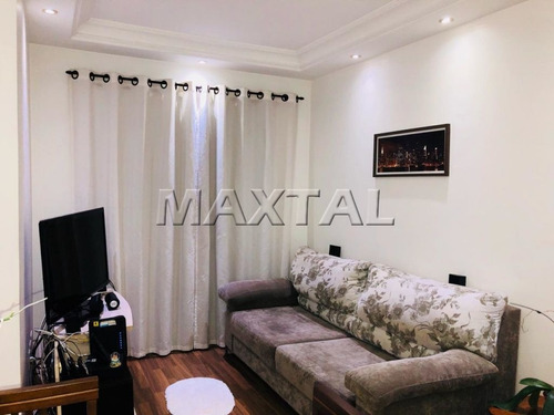 Imagem 1 de 15 de Oportunidade, Excelente Apartamento Na Vila Amélia. - Mi74068