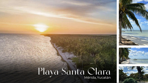 Lotes Urbanizados Playa Clara En Venta En La Costa Yucateca.