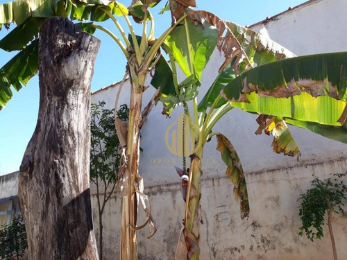 Imagem 19 de 20 de Chácara Com 3 Dormitórios À Venda, 1000 M² Por R$ 650.000,00 - Condomínio Portal Dos Ipês - Ribeirão Preto/sp - Ch0012