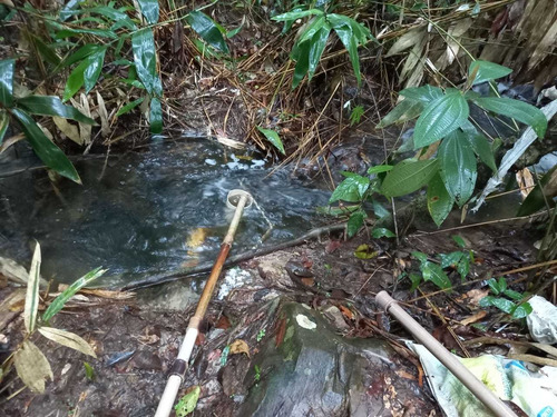 Imagem 2 de 14 de Sitio Chapadao Do Ceu 80 Alqueires Valor 6.500.000