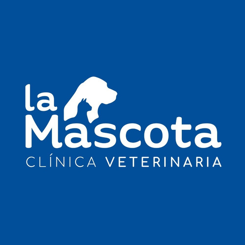 Imagen 4 de 4 de Max Buffet 20 +2kg + Snacks + Regalo + Envío. Comida Perros