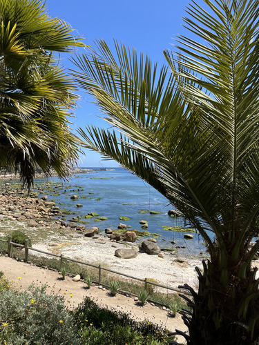 Excepcional Depto Con Jardines Y Bosque Junto Al Mar
