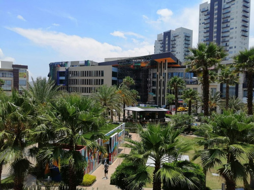 Imagen 1 de 11 de Oficina En Renta En Sonata, Lomas De Angelopolis