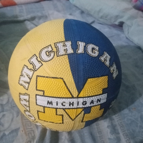 Imagen 1 de 2 de Pelota De Los Michigan Wolverines Ncaa Fútbol Americano