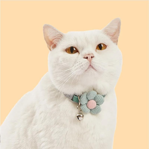Taicols Cat Collars, Coleira Automática Para Gatos, Coleira