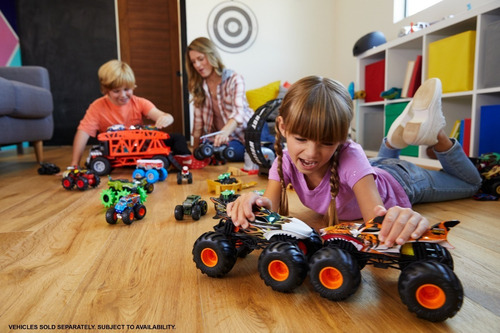 Hot Wheels Monster Trucks Vehículo 1:64 Modelo Variable Varios