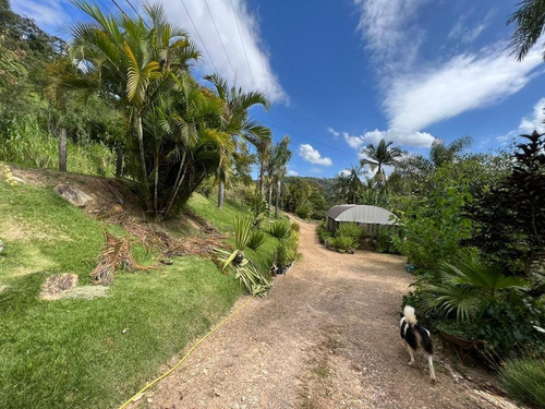 Imagem 21 de 30 de Chácara 2048m2, Casa Sede, Loja, Depósito, Viveiro De Plantas Com Estufa, Acesso Asfaltado, Poço Caipira, Ótima Localização - Ch00256 - 70814196