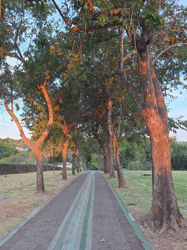 Jazigo No Cemitério Parque Flamboyant Localizado Na Quadra Xv Setor B Jazigo 63 Com 3 Gavetas