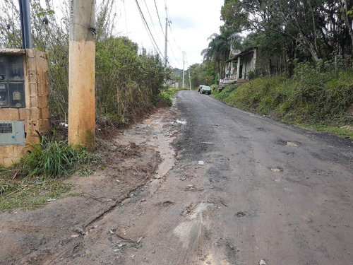 Imagem 14 de 28 de Terreno - Te00030 - 68403756