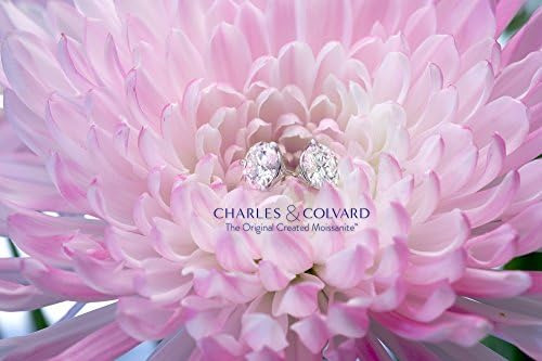 Aretes De Moissanita De Oro Blanco De 14 Quilates De Charles