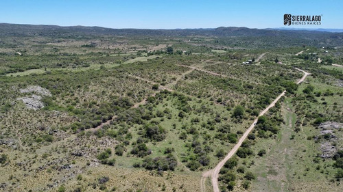 Imagen 8 de 22 de Venta Conjunta De 500 Lotes De Terreno