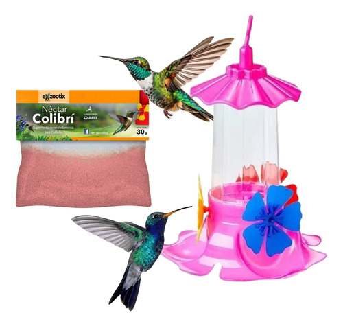 Nectar Alimento Colibri Picaflor Colibries Exzootix  Packx5