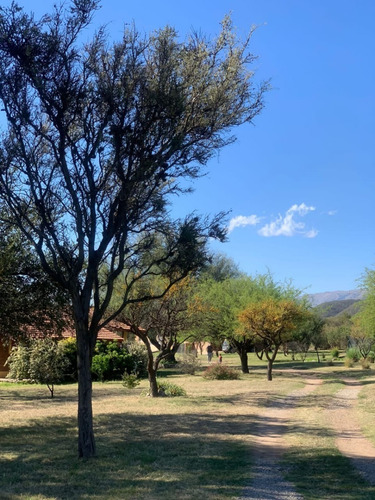 Imagen 28 de 29 de Hermoso Complejo De Cabañas En San Luis - Cortaderas