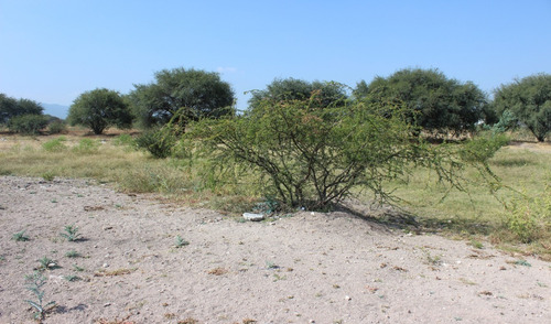 Terreno En Venta En Pedro Escobedo