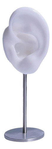 Soportes De Exhibición Para Pendientes, Altura 12cm