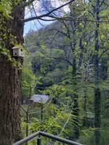 Comprar Venta De Hermosa Casa En Altos Del Sol, Todos Los Servicios.