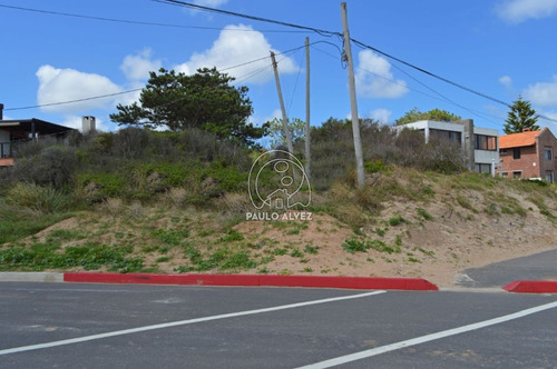 Imagen 7 de 14 de Terrenos-venta-san-francisco-te219