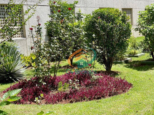 Apartamento Com 3 Dormitórios À Venda, 64 M² Por R$ 340.000,00 - Gopoúva - Guarulhos/sp - Ap0050