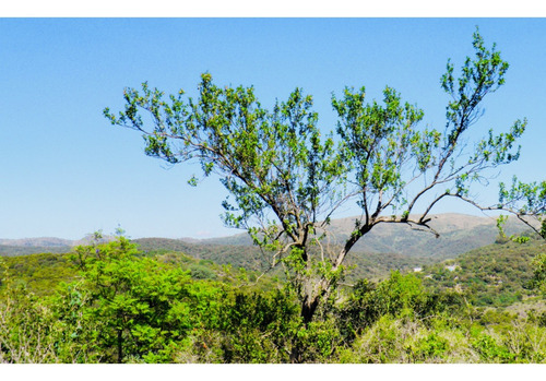 Bº San Isidro El Vallecito - Lotes C/ Escritura