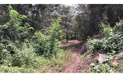 Imagen 4 de 6 de Oportunidad!! Lote En Comuna San Roque Recibe Vehículo!!