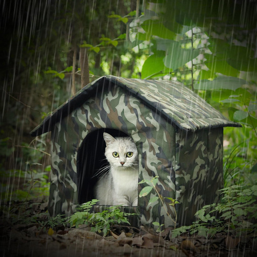 Cama Para Gatos/cães, Tenda Para Animais De Pequeno