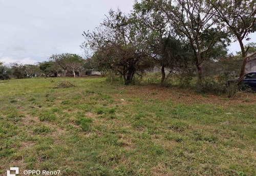 Venta Terreno En Ampliación Mata De Pita, Veracruz.