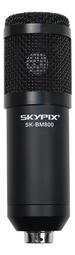 Kit Microfone Condensador Profissional De Estúdio Bm800 Usb Cor Preto