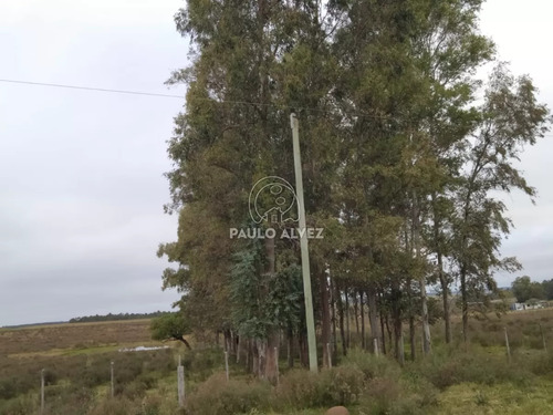 Oportunidad De Inversión