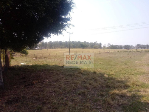 Imagem 17 de 23 de Sítio Com 2 Dormitórios À Venda, 2,24 Alqueires Por R$ 410.000 - Zona Rural - Conchas/sp - Si0011
