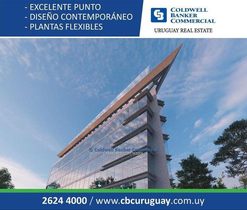 Oficina Avenida De Las Américas Alquiler