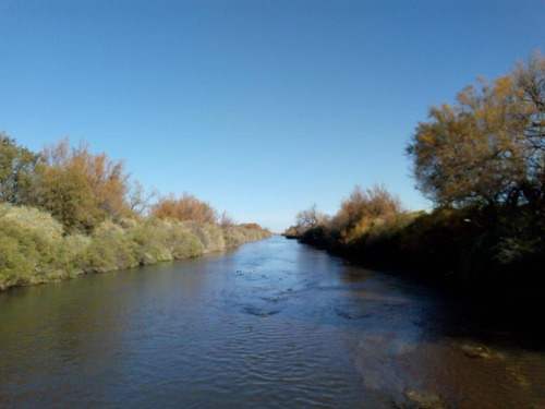 Imagen 10 de 26 de Venta Campo 103 Ha General Alvear