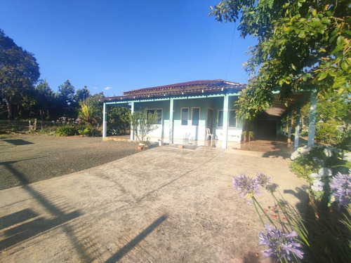 Imagem 1 de 15 de Casa Para Venda Em Piên, Trigolândia, 3 Dormitórios, 2 Banheiros, 10 Vagas - Pie2200_1-2209259