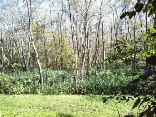 Imagen 7 de 7 de Terreno Con Amarra Propia En Salida Al Rio Luján En Barrio Semi Cerrado Las Lagunas En Villa La Ñata