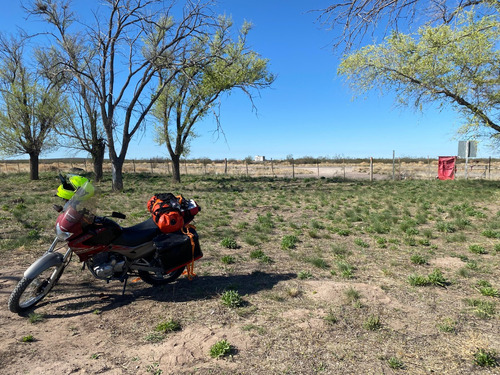 Honda Falcon Nx400