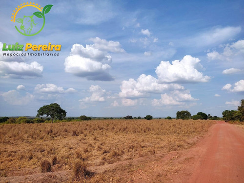 Imagem 4 de 12 de Fazenda À Venda Em Abreulândia - Pa - 1.427,8 Hectare (dupla Aptidão) - 2038