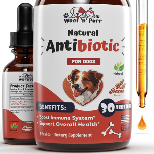Antibioticos Naturales Para Perros  Antibioticos Para Perro