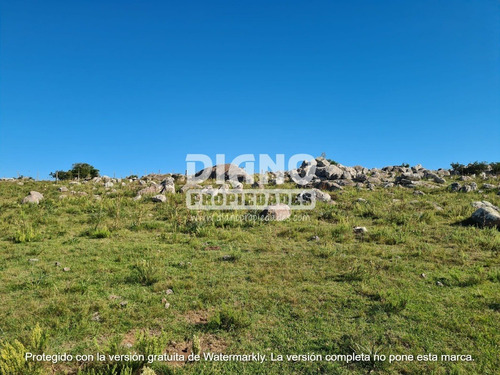 Imagen 9 de 14 de Prioridad Forestal - Buen Campo Ganadero
