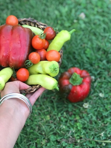 Semillas De Ají Banana (capsicum Annuum)
