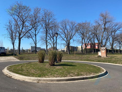 Imagen 3 de 17 de Venta De Lote Interno, Inmejorable Orientación - Santa Sofía