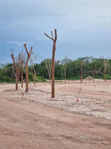 Terreno/lote En Venta Merida, Dzitya En Privada, Verano 2026.