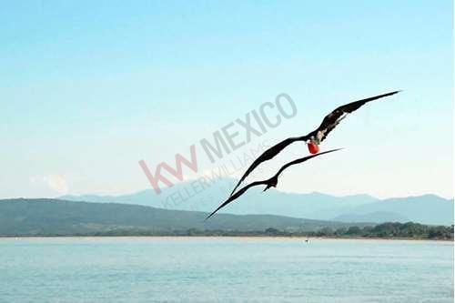Imagen 10 de 25 de Plan De Pago Sin Intereses En Fase De Preventa En Alamar.