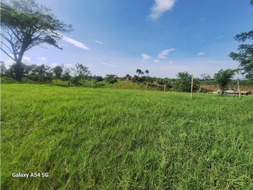 Venta Lotes En Quimbaya -quindío Colombia Cod: 7555717