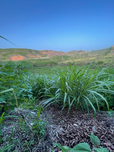Imagen 10 de 14 de Terreno A La Venta En San Omero