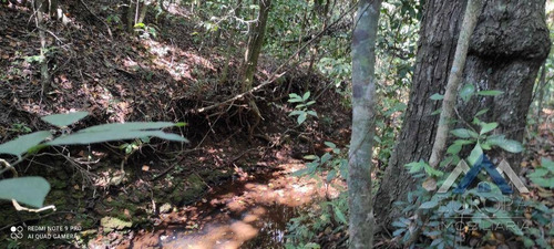 Imagem 28 de 30 de Chácara À Venda, 3000 M² Por R$ 220.000,00 - Rural - Ibiporã/pr - Ch0198