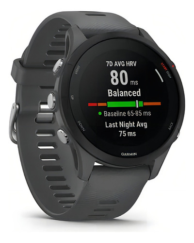 Smartwatch Garmin, Forerunner 255 Slate/gris