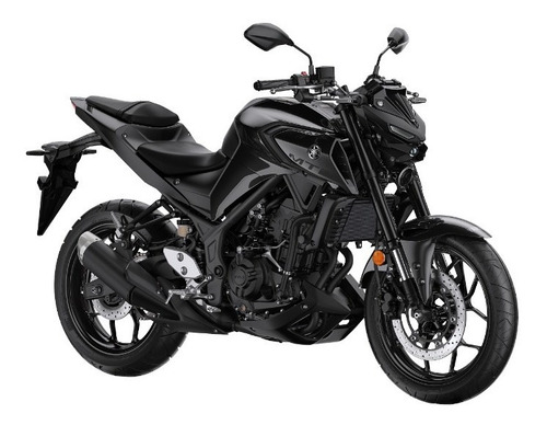 Imagen 2 de 15 de Yamaha Mt03 Abs Delcar Motos ®