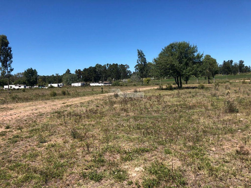 Venta Terreno Manga Camino El Cordero 36980m2 A Mts. Camino Pedro De Mendoza E Instrucciones