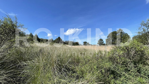 Imagen 4 de 27 de Terreno En Venta Salazar, Estado De México